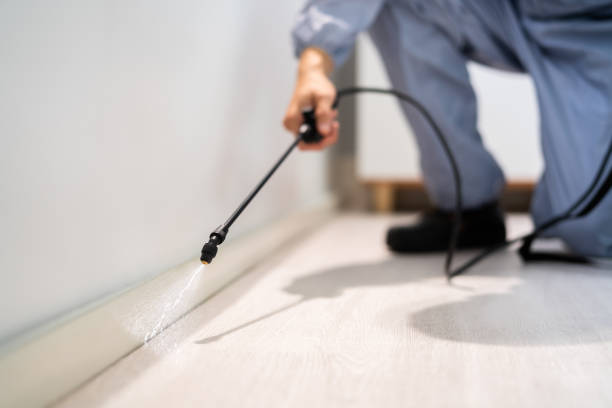 Licensed Wasp Removal service in McCullom Lake, IL - Show Me Pest Control