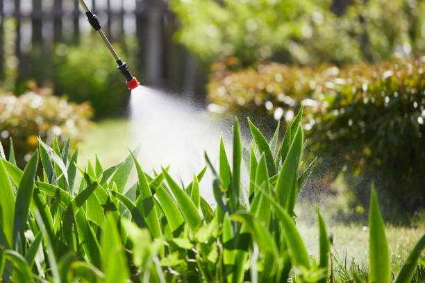 24/7 Emergency Wasp Removal experts in McCullom Lake, IL