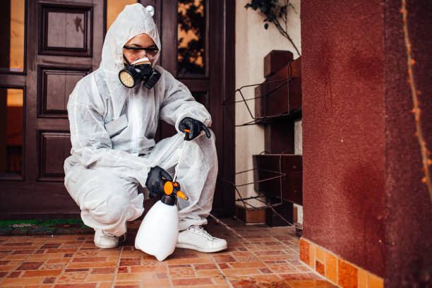 Reliable Wasp Removal contractor in McCullom Lake, IL by Show Me Pest Control