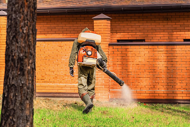 Top rated local Wasp Removal specialists in McCullom Lake, IL